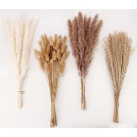 Grass Decor 100 Stems Pampas Grass Contains Bunny Tails Dried Flowers Reed Grass Bouquet For Wedding Boho Flowers Home Table Decor (Option: Multicolor)